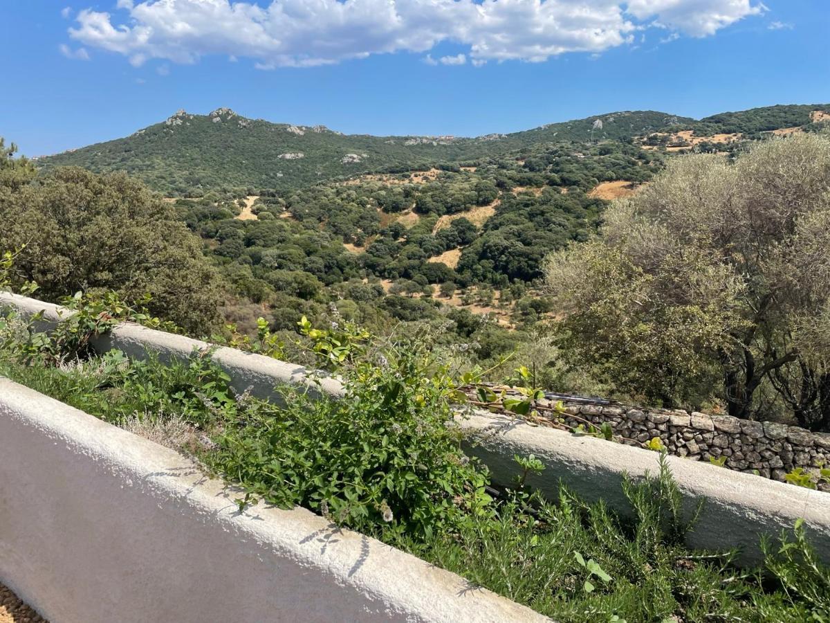 Villa Stazzu Lu Chissoni Luogosanto Esterno foto