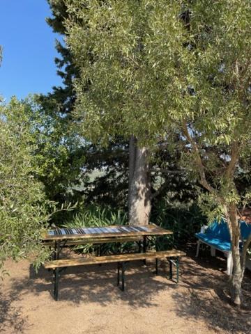 Villa Stazzu Lu Chissoni Luogosanto Esterno foto